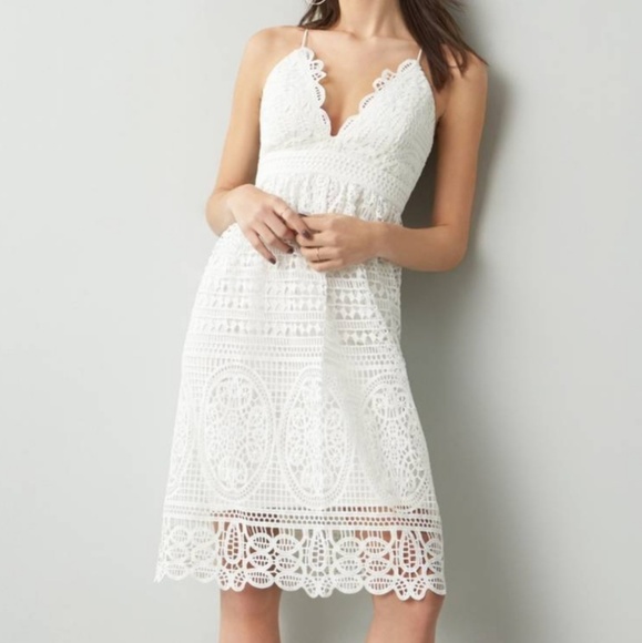 Bardot Dresses & Skirts - Bardot Versailles Dress Nordstrom Scalloped Lace